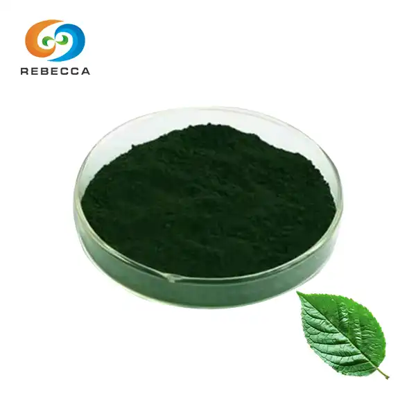 Best Chlorophyll Powder